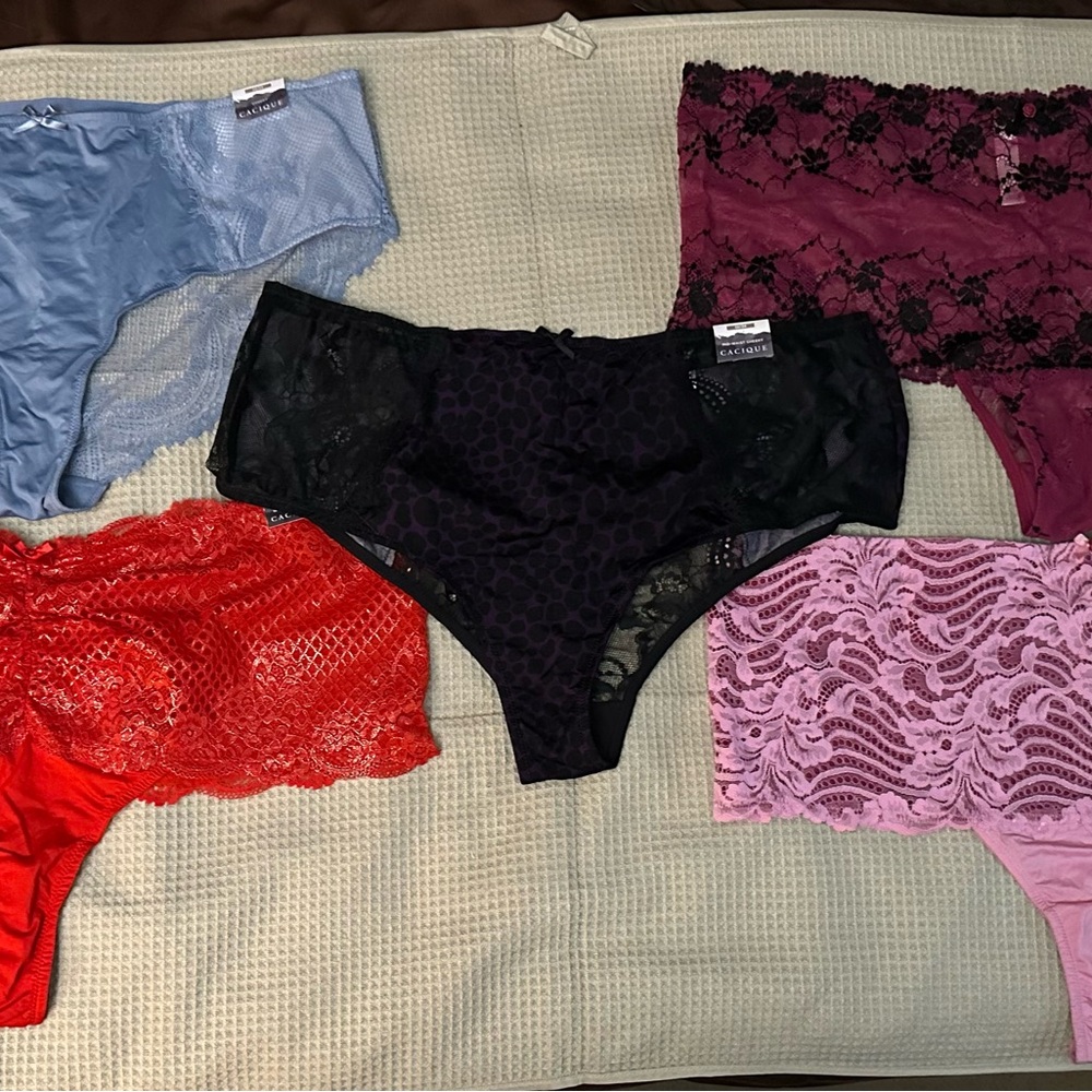 Lane Bryant Lace and Mesh Panty Set in Various Colors